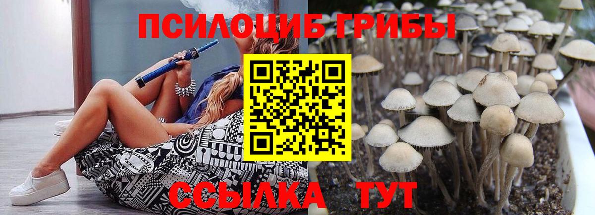 Галлюциногенные грибы Cubensis Гурьевск