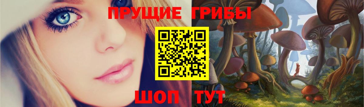 Псилоцибиновые грибы Magic Shrooms  Вход с VPN  дарнет шоп  Гурьевск 